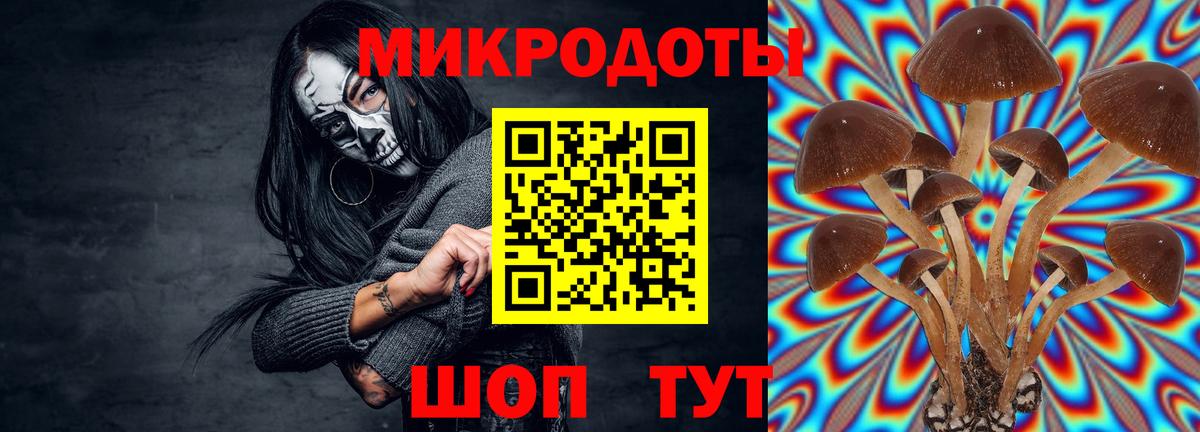 купить наркоту  Псилоцибиновые грибы Psilocybine cubensis  Егорьевск  Вход с VPN  Псилоцибиновые грибы мицелий 