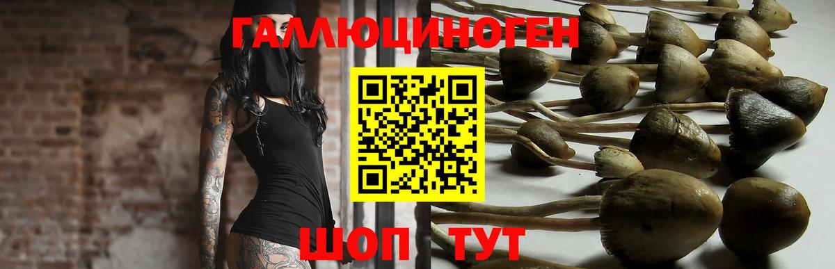 Псилоцибиновые грибы MAGIC MUSHROOMS Егорьевск